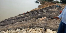 Construcción de obras de protección para la mitigación de la erosión al margen derecha del río Guaviare 3