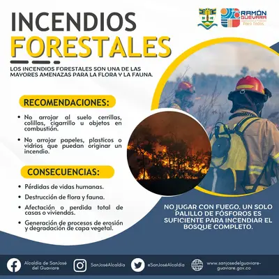 Recomendaciones para evitar los incendios forestales.